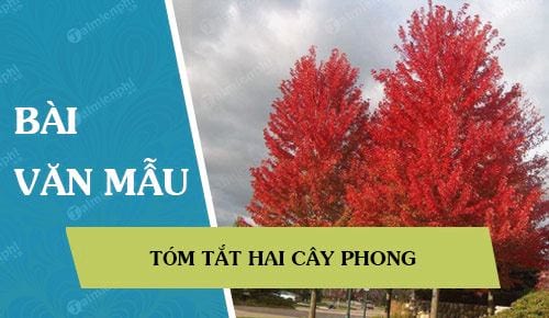 tom tat hai cay phong