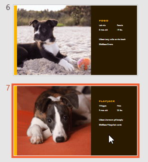 transitions-apply-select4 Điều hướng slide PowerPoint