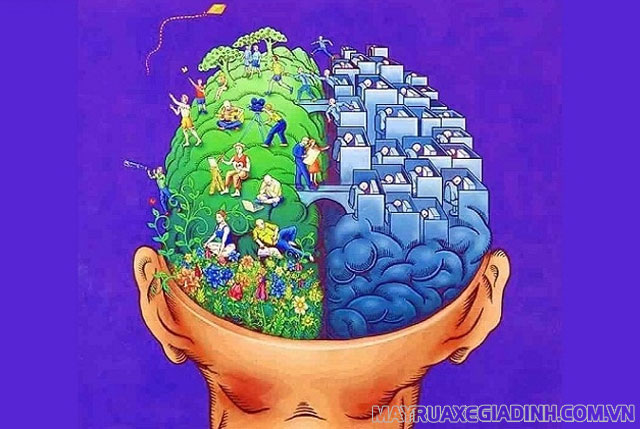 Đặc điểm và vai trò của tri giác