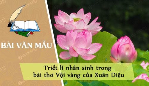 triet li nhan sinh trong bai tho voi vang cua xuan dieu