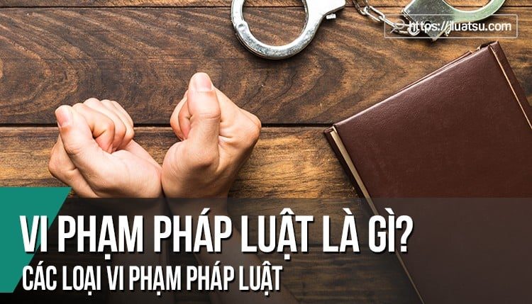 Các loại vi phạm pháp luật.