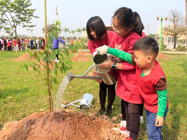 Viết một đoạn văn ngắn về phong trào trồng và bảo vệ cây xanh