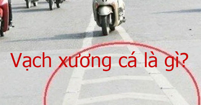 Vạch xương cá là gì