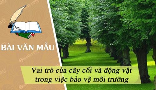 vai tro cua cay coi hoac rung dong vat hoang da nhien lieu sach trong viec bao ve moi truong