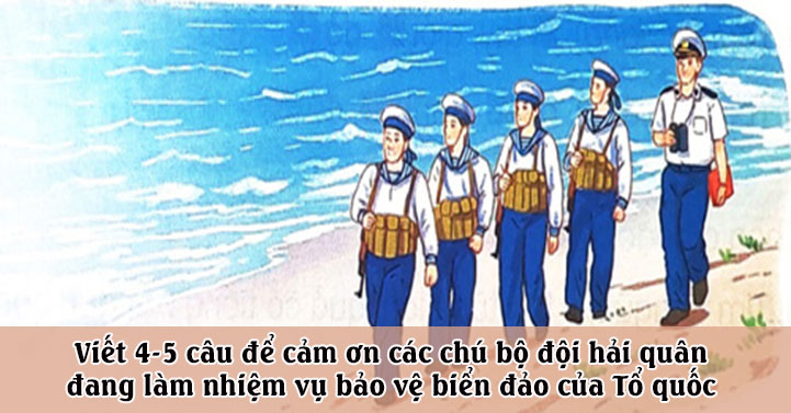 Viết 4-5 câu để cảm ơn các chú bộ đội hải quân đang làm nhiệm vụ bảo vệ biển đảo của Tổ quốc