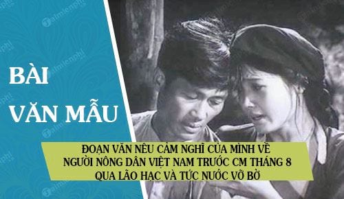 viet doan van neu cam nghi cua minh ve nguoi nong dan viet nam truoc cach mang thang tam 1945 qua lao hac va tuc nuoc vo bo