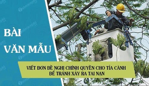 viet don de nghi chinh quyen cho tia canh de tranh xay ra tai nan