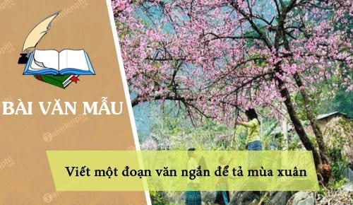 viet mot doan van ngan de ta mua xuan