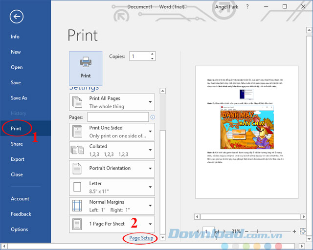 Page Setup