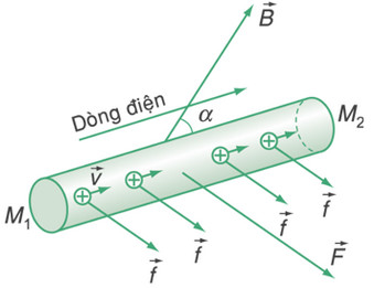 Các xác định lực Lorenxơ