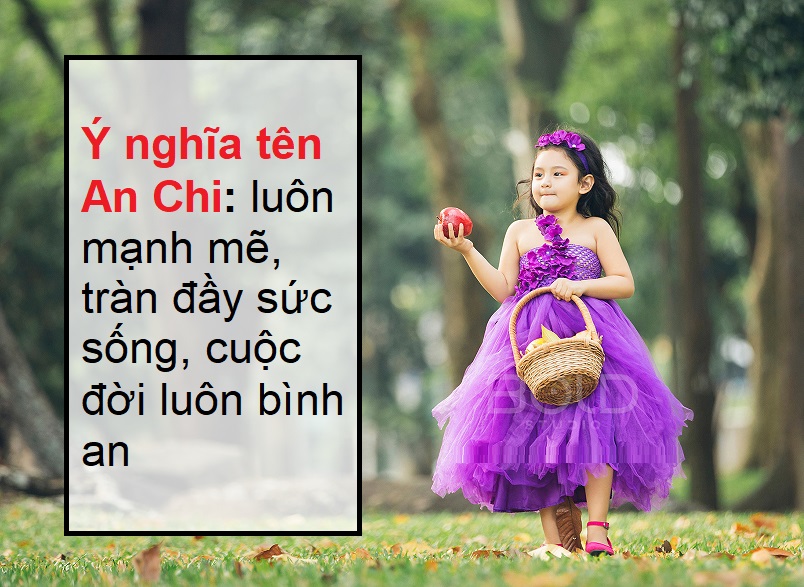 y-nghia-ten-an-chi-02 Ý nghĩa tên An Chi, tên An Chi có ý nghĩa gì?