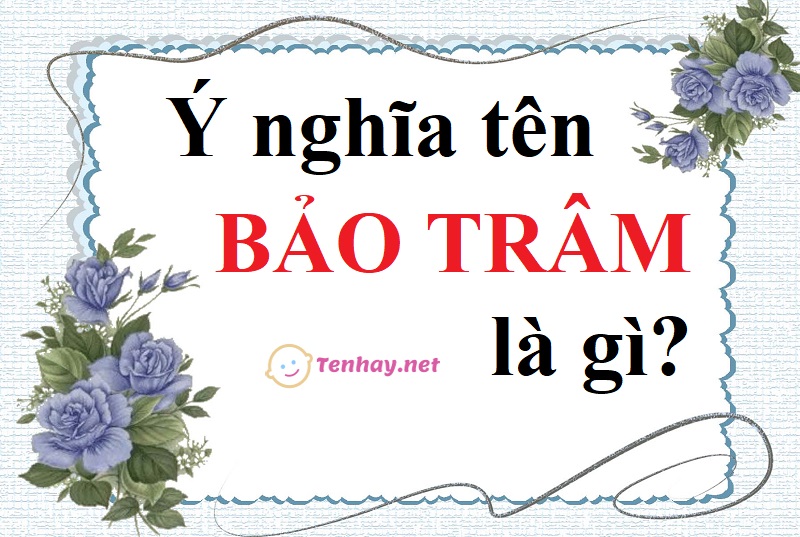 Ý nghĩa tên Bảo Trâm là gì? Tên Bảo Trâm có ý nghĩa gì?