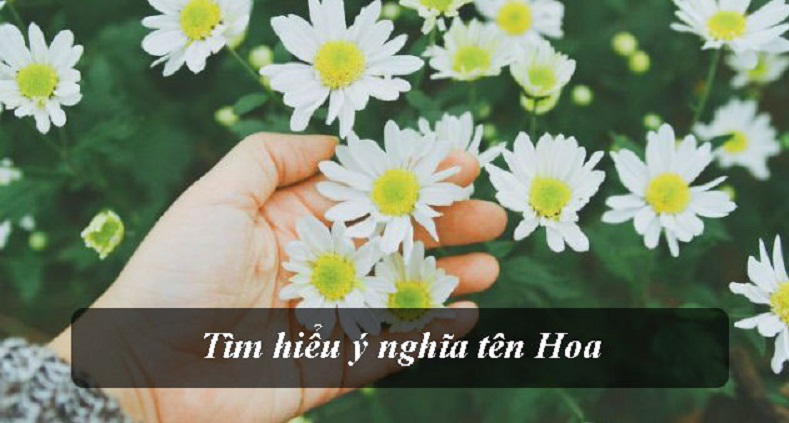 y-nghia-ten-hoa-1 Con gái tên Hoa có ý nghĩa gì? Những tên Hoa hay nhất cho bé. Có nên đặt tên Hoa cho con không? Tên đệm cho tên Hoa hay ý nghĩa.
