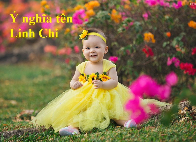 Ý nghĩa tên Linh Chi, tên Linh Chi có nghĩa là gì?