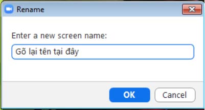 zoom-doi-ten Nhập tên mới vào